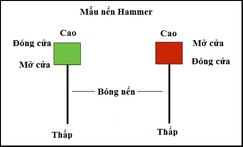 mẫu nến hammer